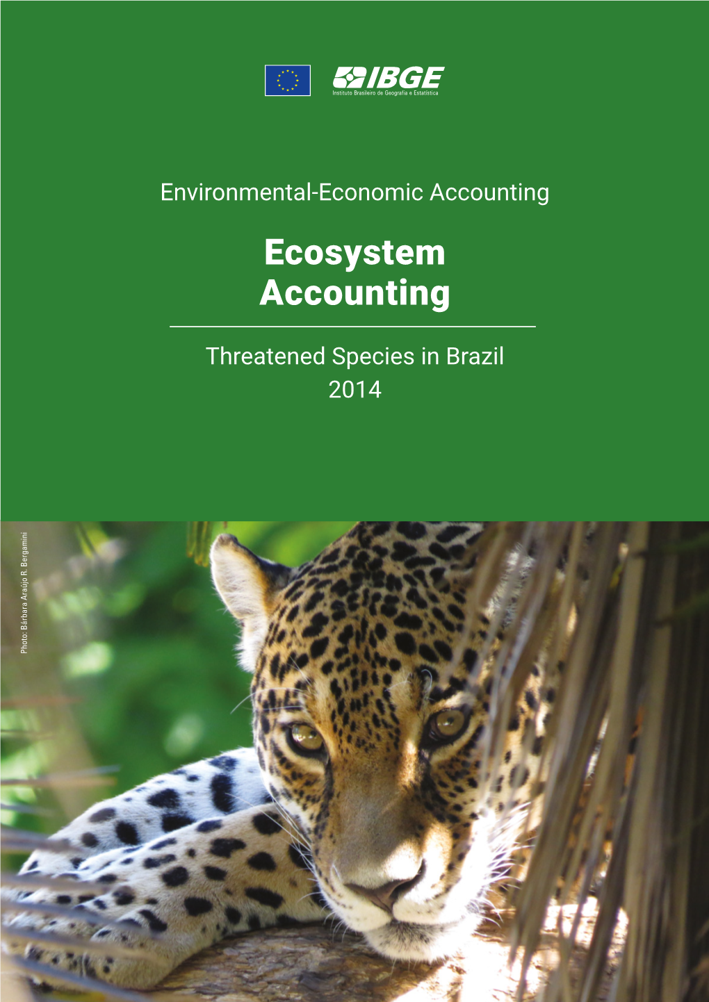 Ecosystem Accounting