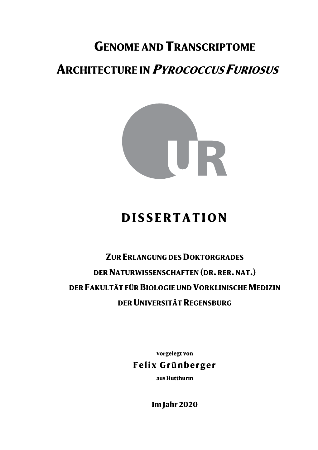 Dissertation