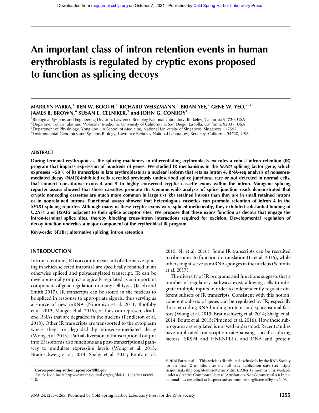 An Important Class of Intron Retention Events in Human Erythroblasts Is Regulated by Cryptic Exons Proposed to Function As Splicing Decoys