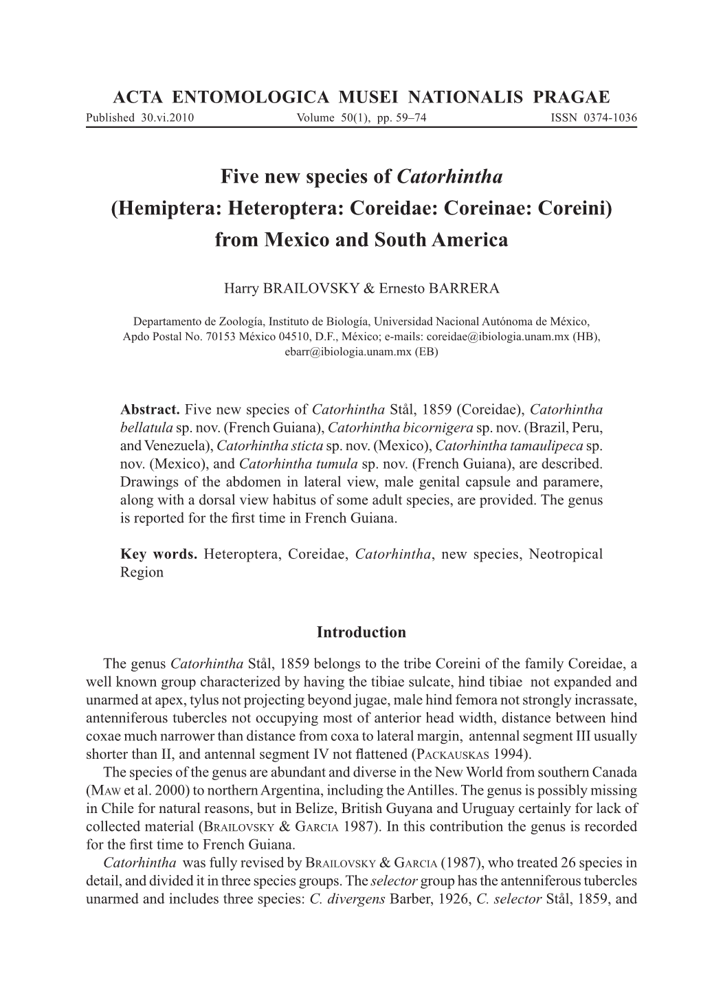 Five New Species of Catorhintha (Hemiptera: Heteroptera: Coreidae: Coreinae: Coreini) from Mexico and South America