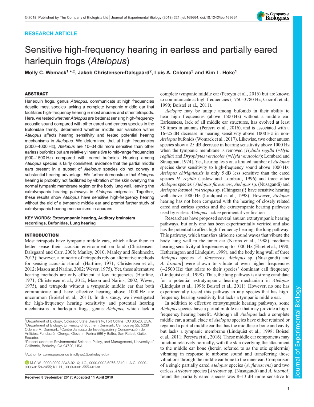 Sensitive High-Frequency Hearing in Earless and Partially Eared Harlequin Frogs (Atelopus) Molly C