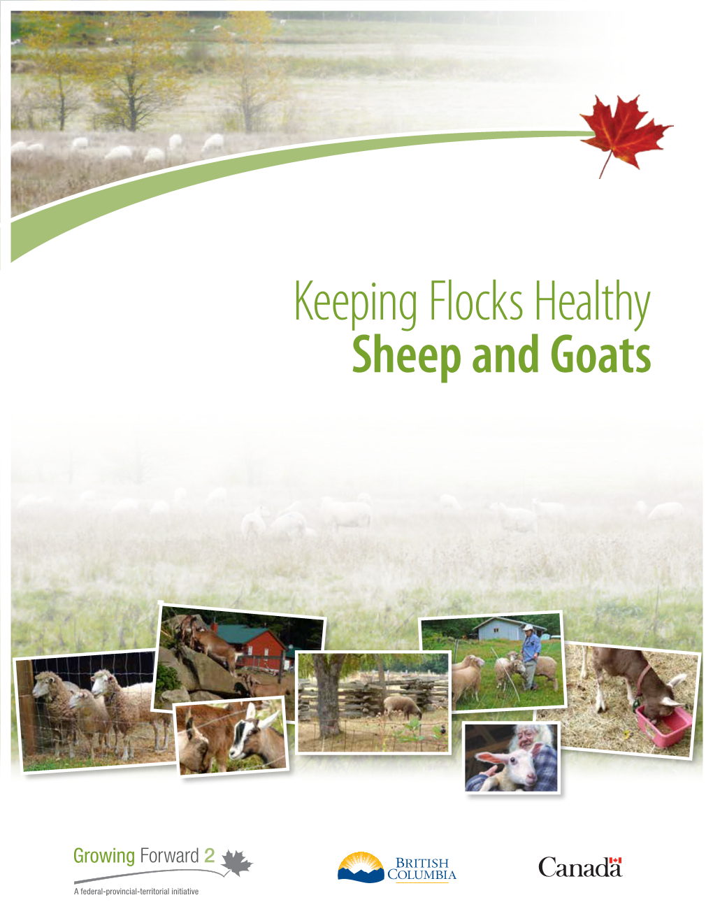 Keeping Flocks Healthy: Sheep and Goats