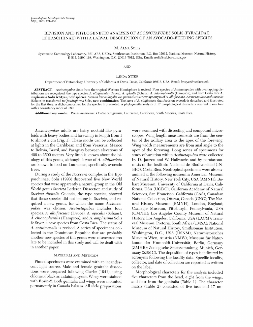 Revision and Phylogenetic Analysis of Accinctapubes Solis (Pyralidae: Epipaschiinae) with a Larval Description of an Avocado-Feeding Species