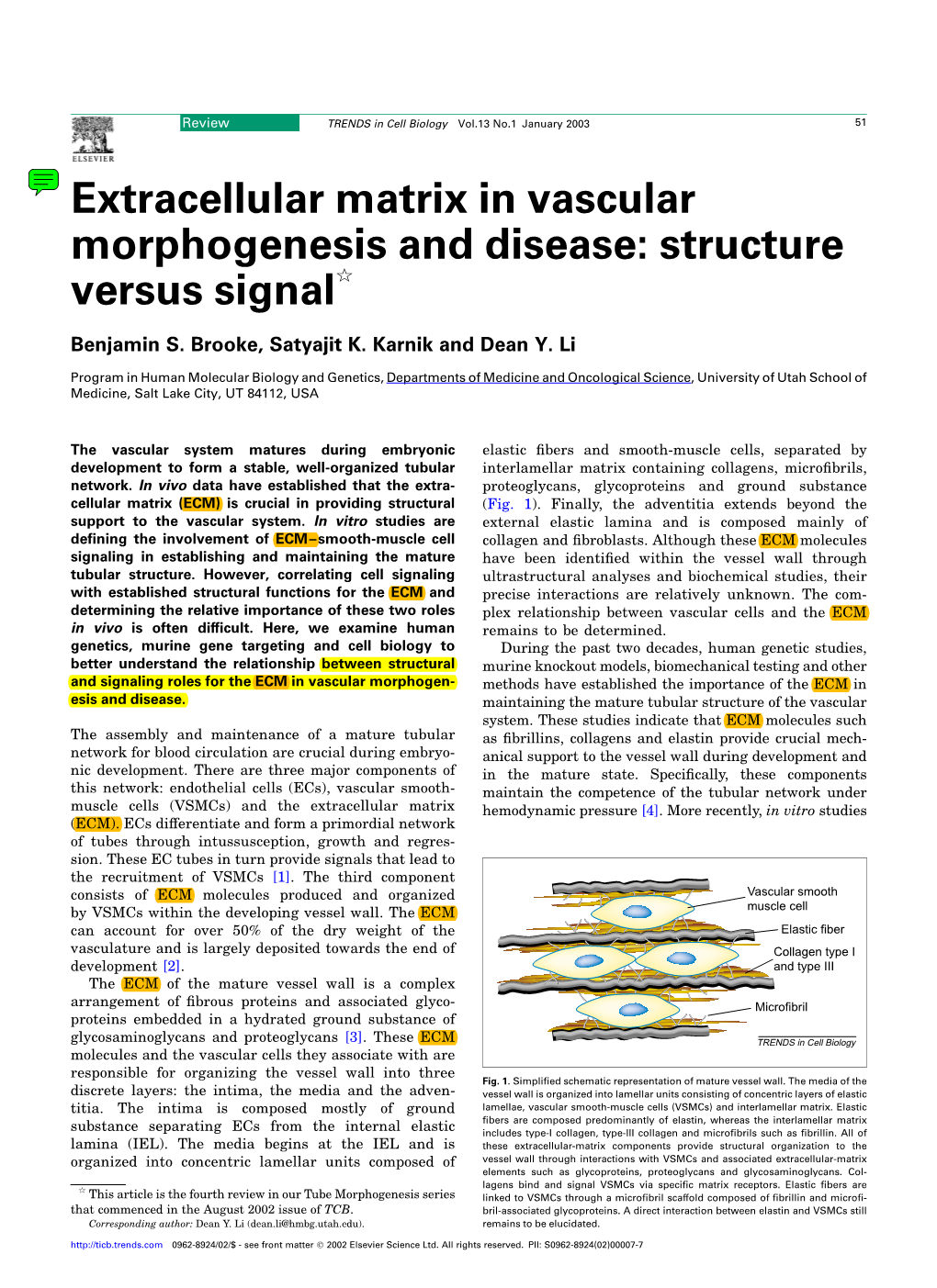 Extracellular Matrix in Vascular Morphogenesis and Disease: Structure Versus Signalq