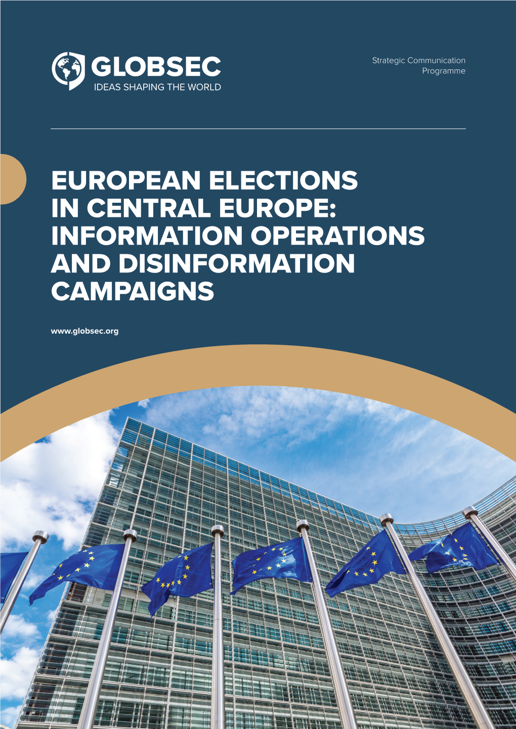 European Elections in Central Europe: Information Operations and Disinformation Campaigns