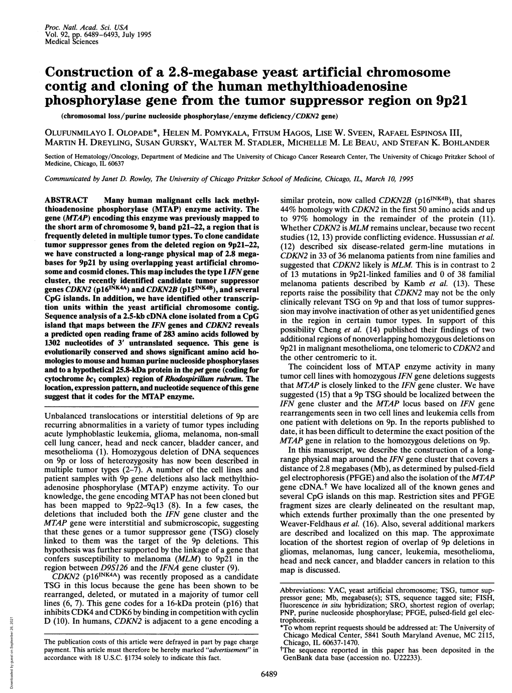 Construction of a 2.8-Megabase Yeast Artificial Chromosome Contig And