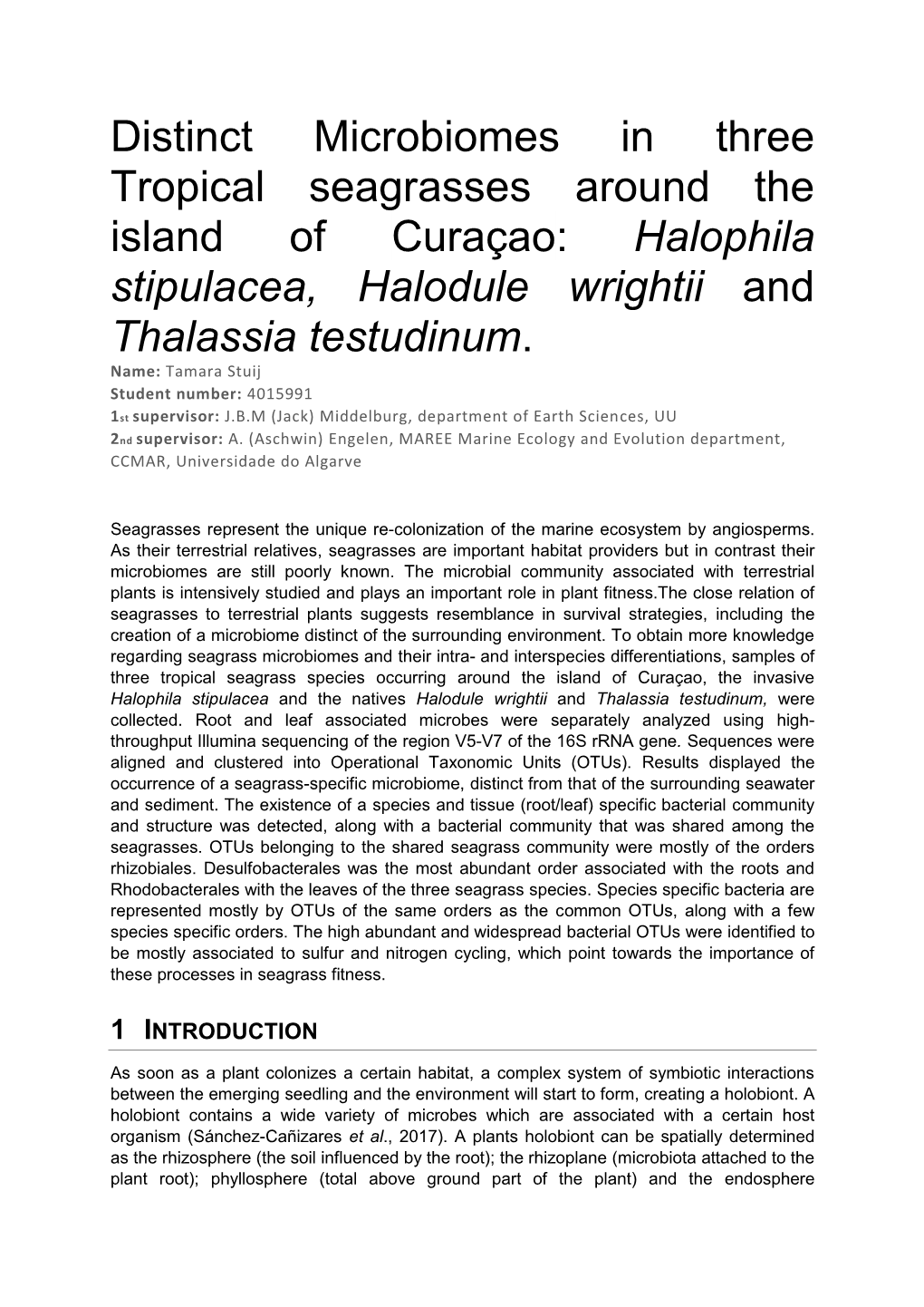Distinct Microbiomes in Three Tropical Seagrasses Around the Island of Curaçao: Halophila Stipulacea, Halodule Wrightii and Thalassia Testudinum
