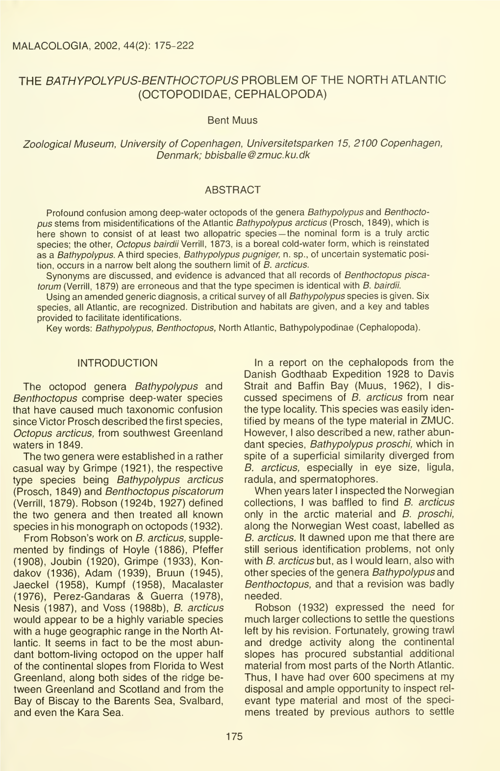 The Bathypolypus-Benthoctopus Problem of the North Atlantic (Octopodidae, Cephalopoda)