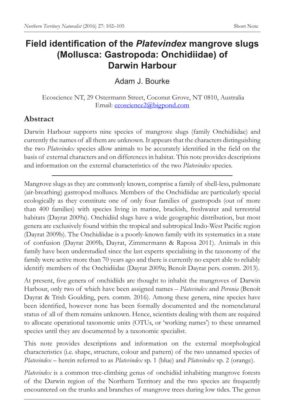 Field Identification of the Platevindex Mangrove Slugs