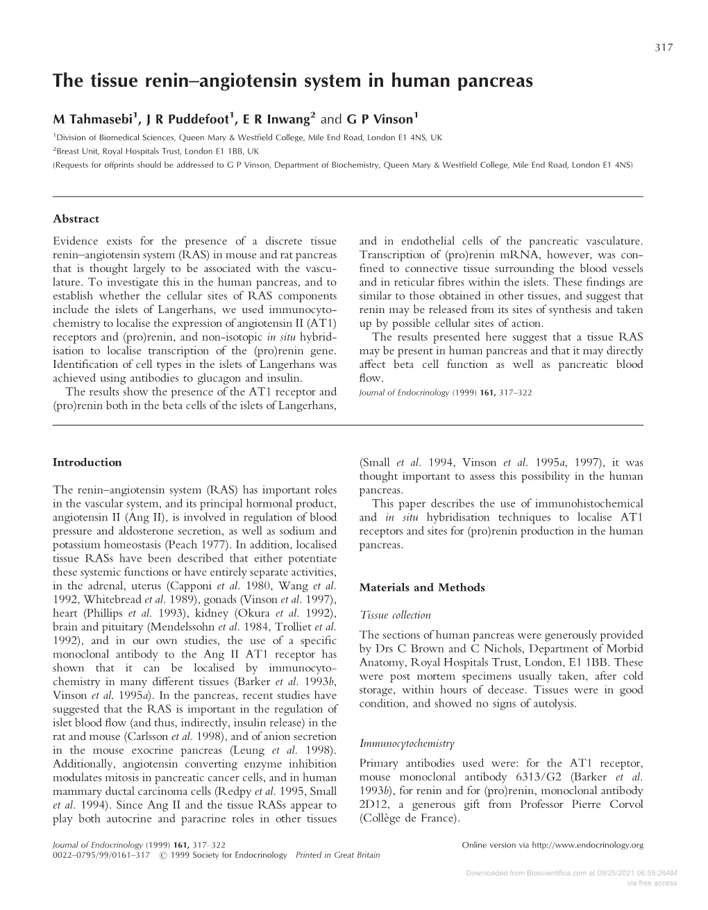 The Tissue Renin–Angiotensin System in Human Pancreas