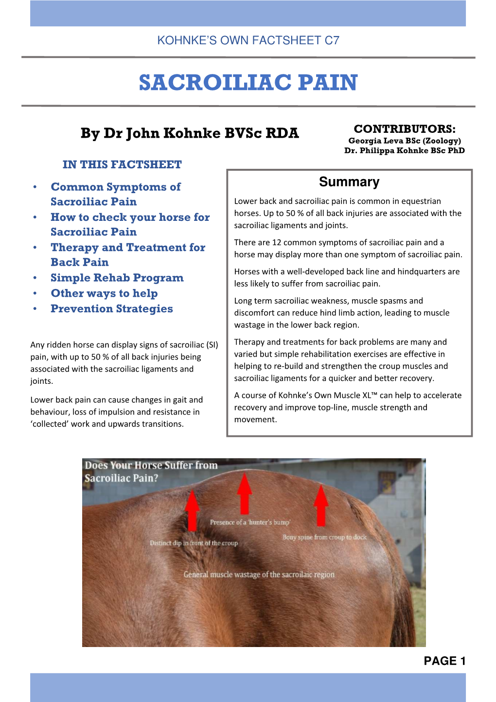 C7 Sacroiliac Fact Sheet Finalised V2