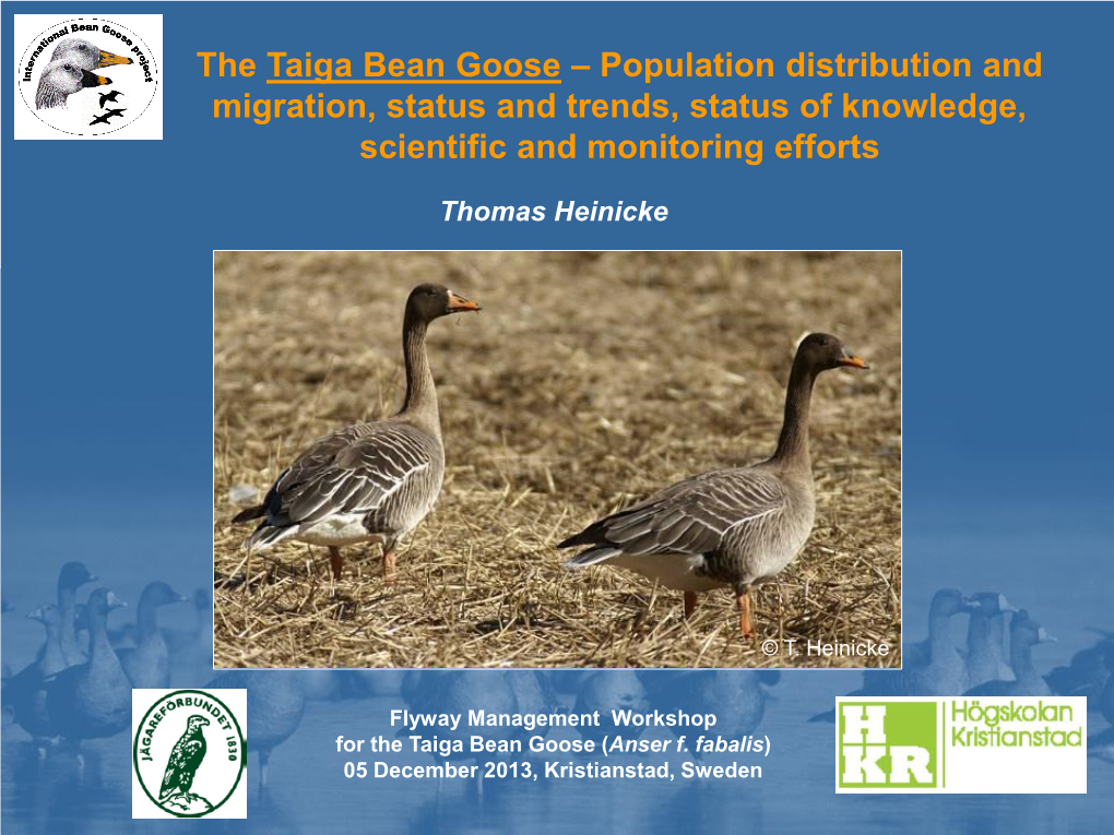 The Taiga Bean Goose – Population Distribution and Migration, Status and Trends, Status of Knowledge, Scientific and Monitoring Efforts