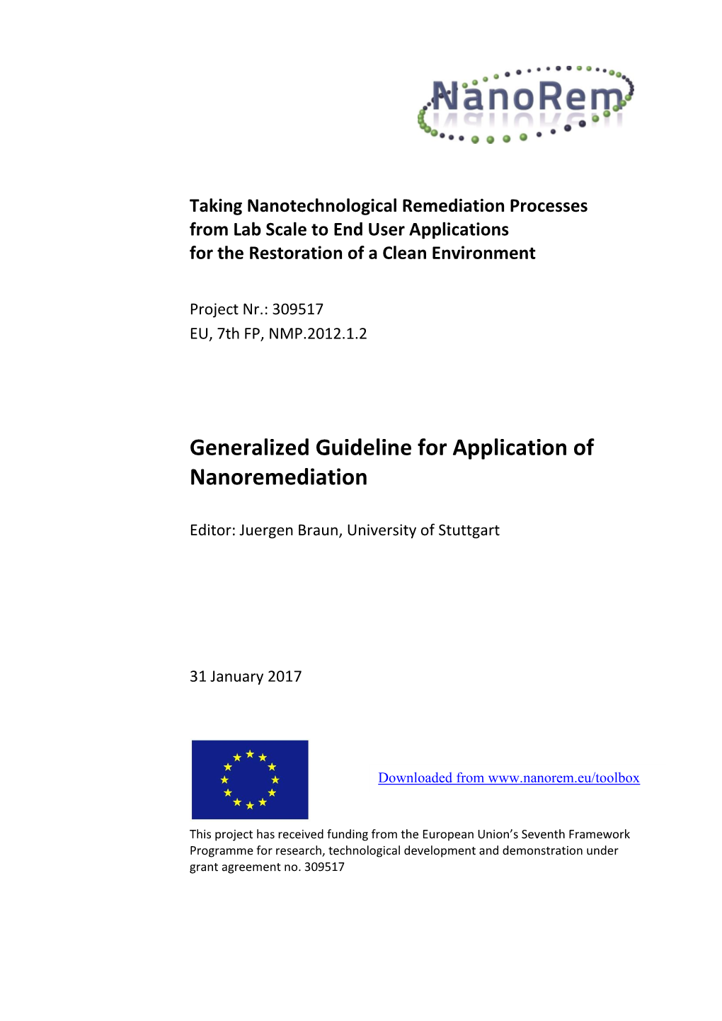 Generalized Guideline for Application of Nanoremediation