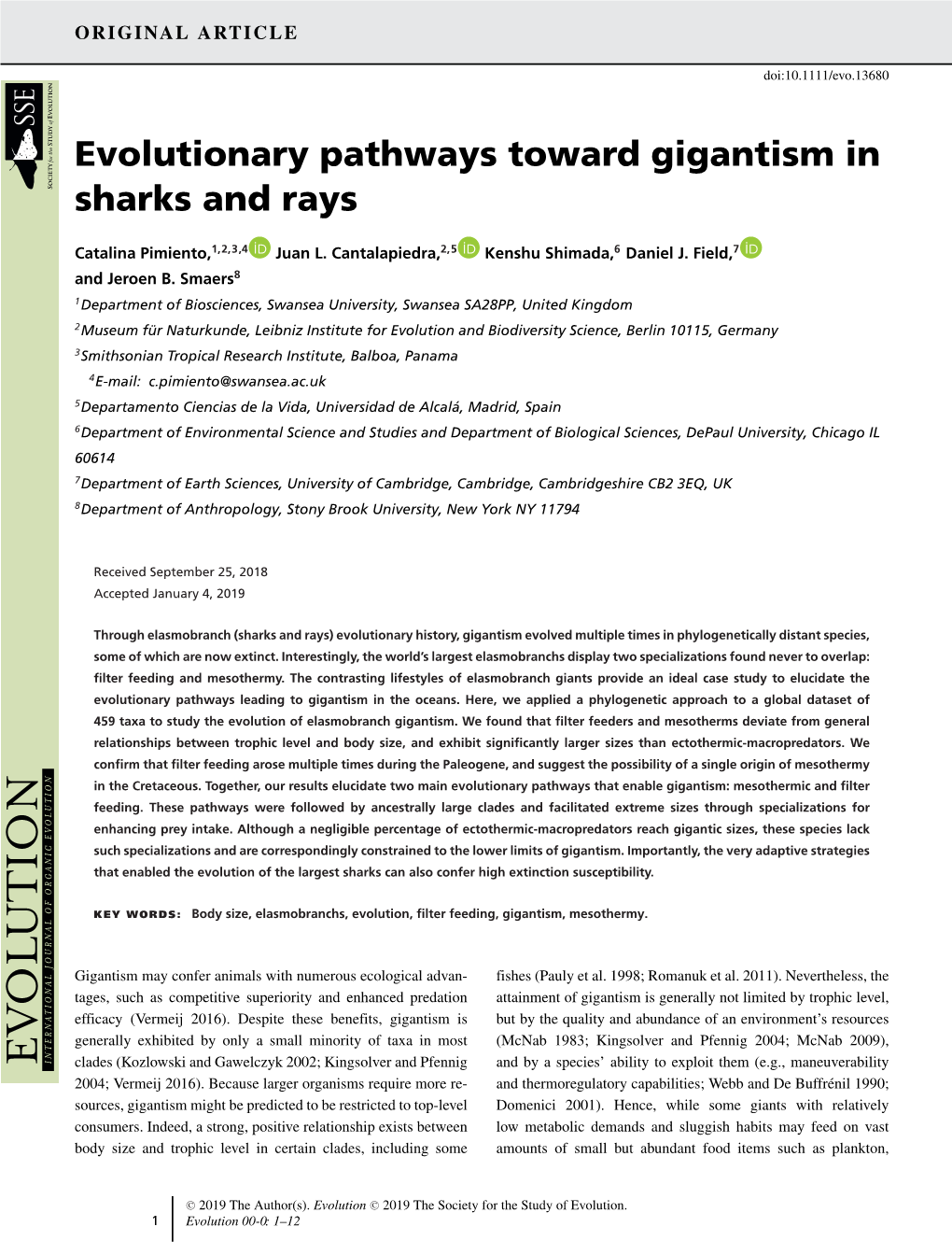 Evolutionary Pathways Toward Gigantism in Sharks and Rays