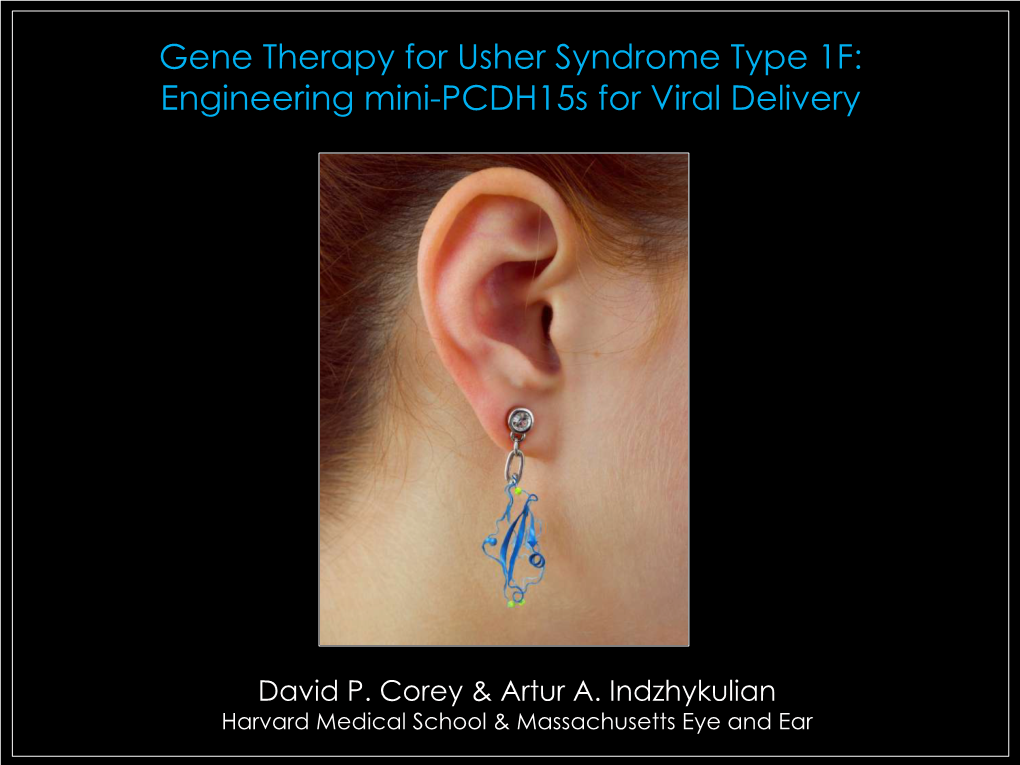 Gene Therapy for USH 1F David Corey