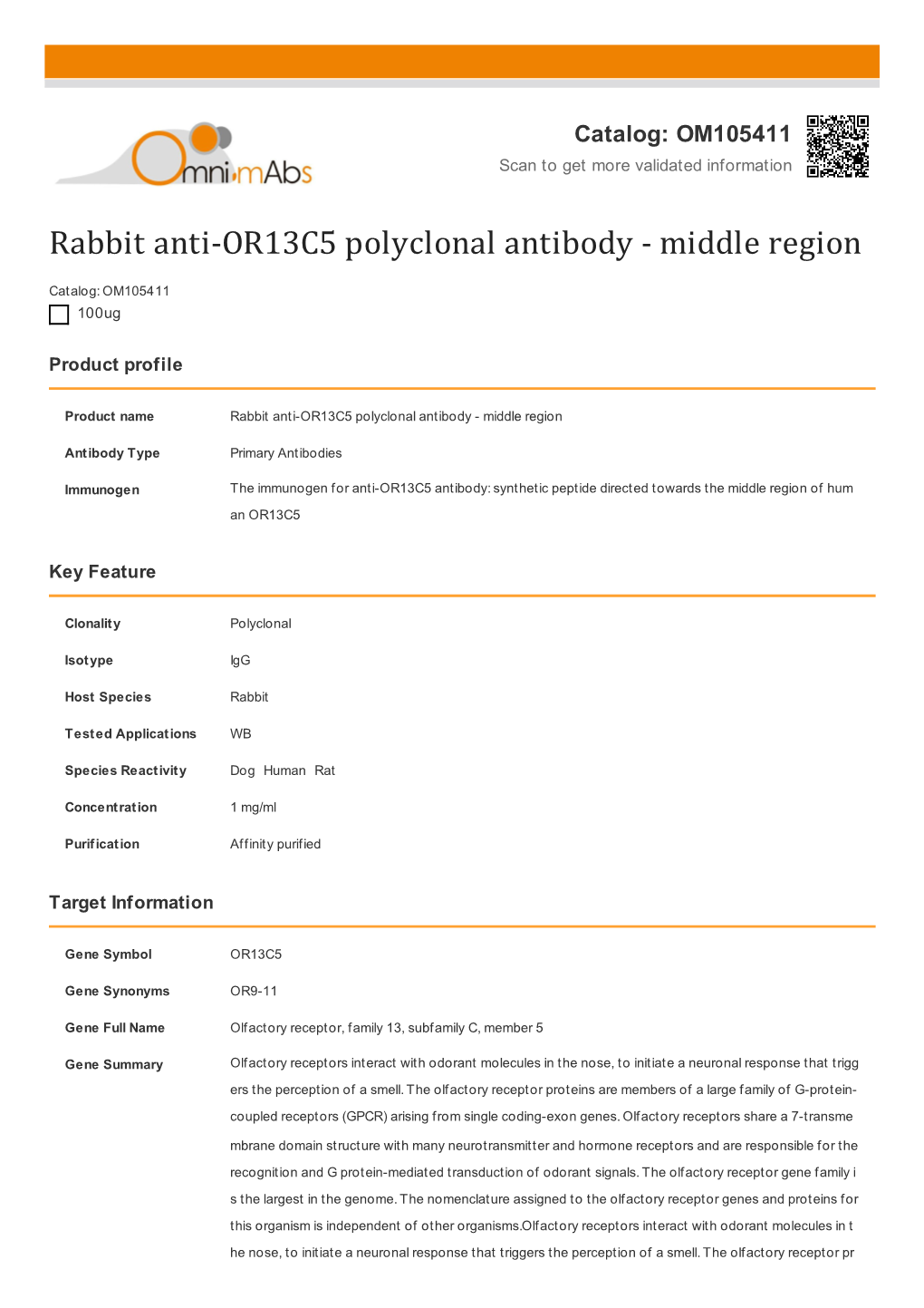 Rabbit Anti-OR13C5 Polyclonal Antibody - Middle Region