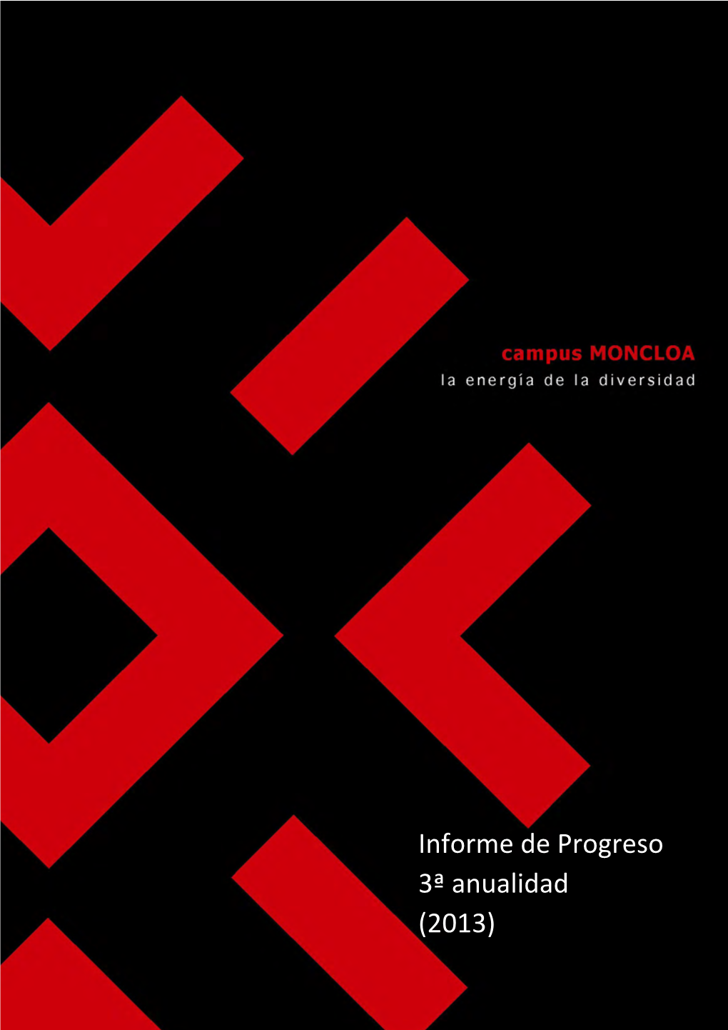Informe De Progreso CEI Campus Moncloa 2013