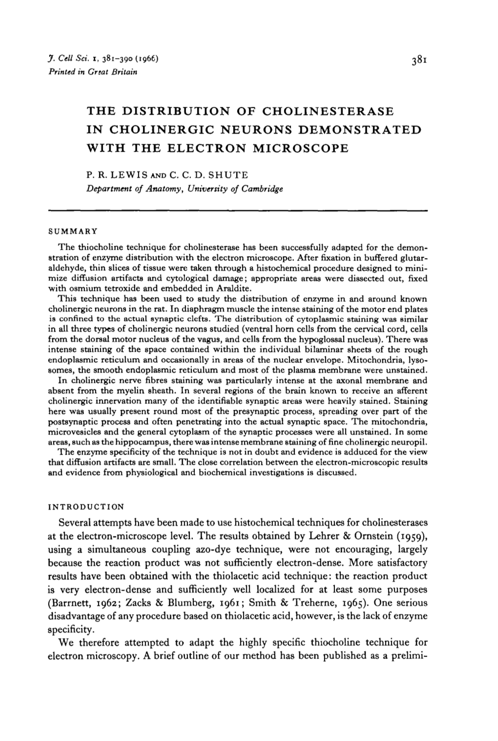 The Distribution of Cholinesterase in Cholinergic Neurons Demonstrated with the Electron Microscope