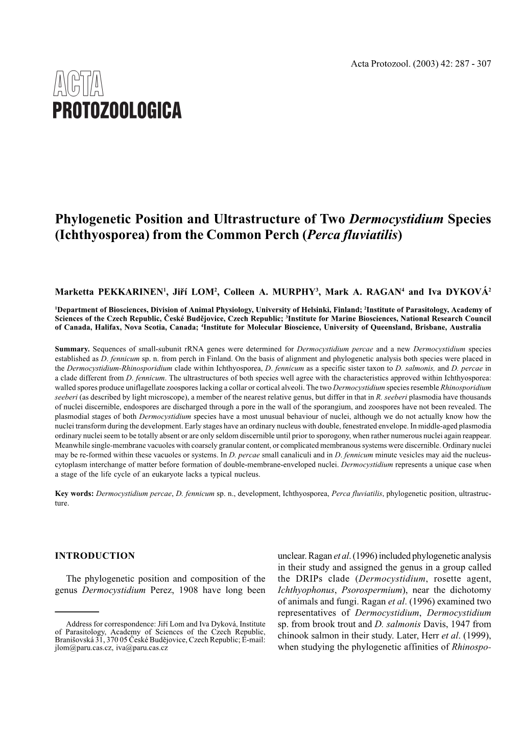 Phylogenetic Position and Ultrastructure of Two Dermocystidium Species (Ichthyosporea) from the Common Perch (Perca Fluviatilis)