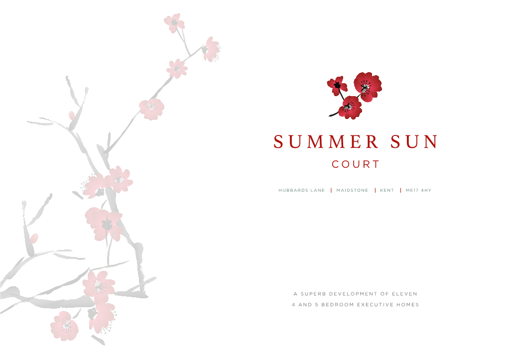 Summer Sun Court