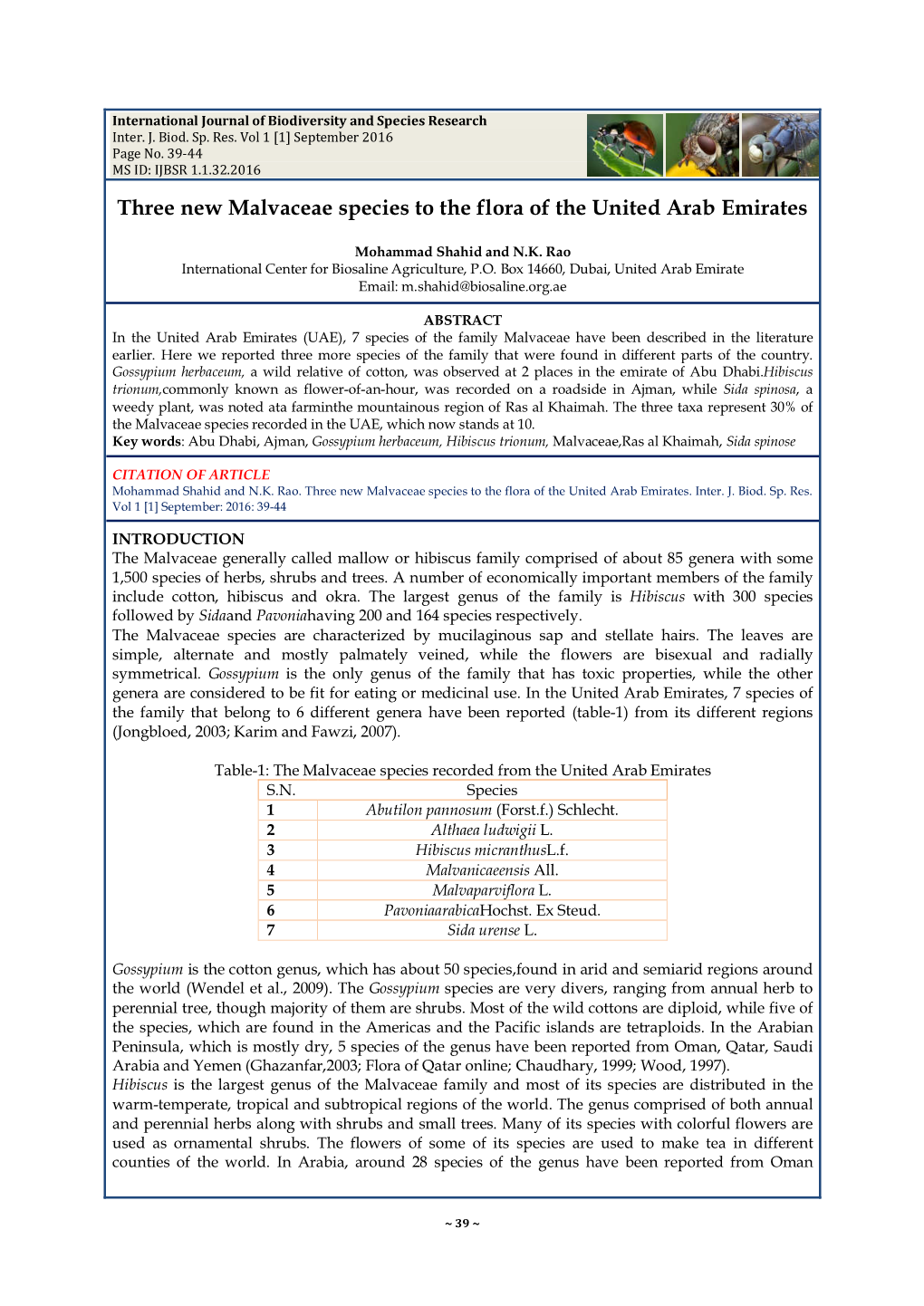 Three New Malvaceae Species to the Flora of the United Arab Emirates