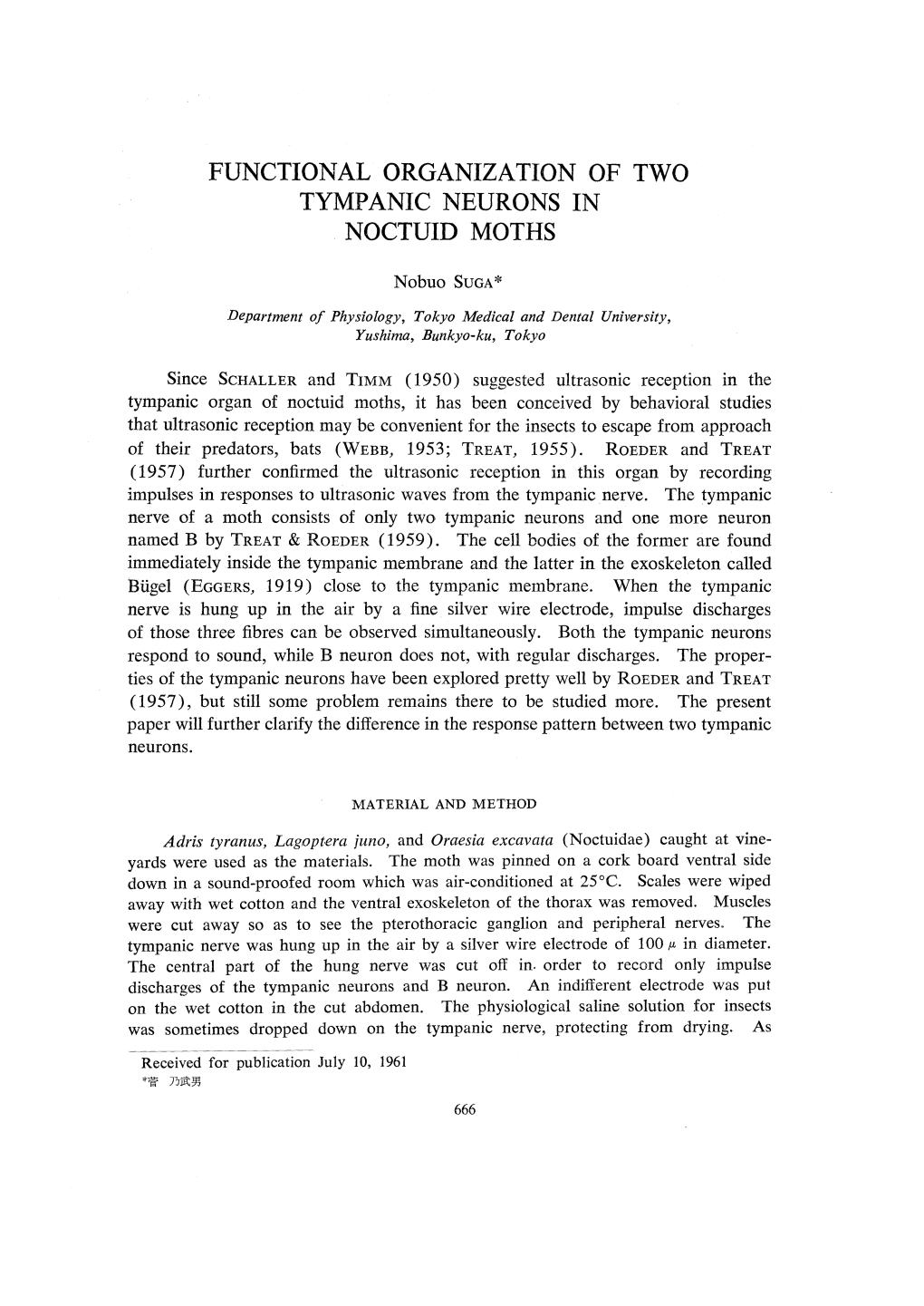 Functional Organization of Two Tympanic Neurons in Noctuid Moths