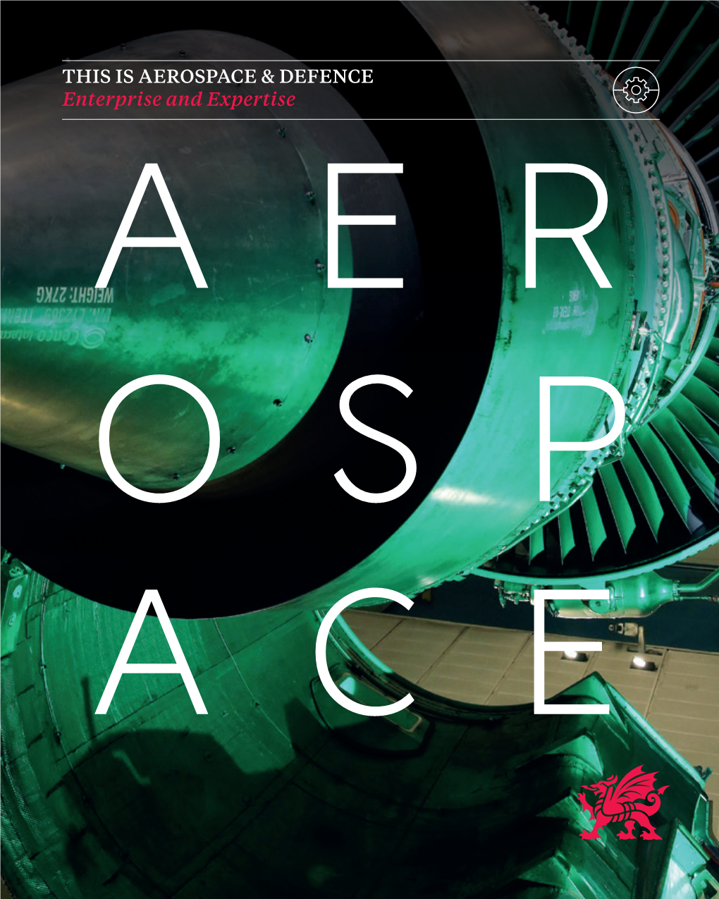 THIS IS AEROSPACE & DEFENCE Enterprise and Expertise