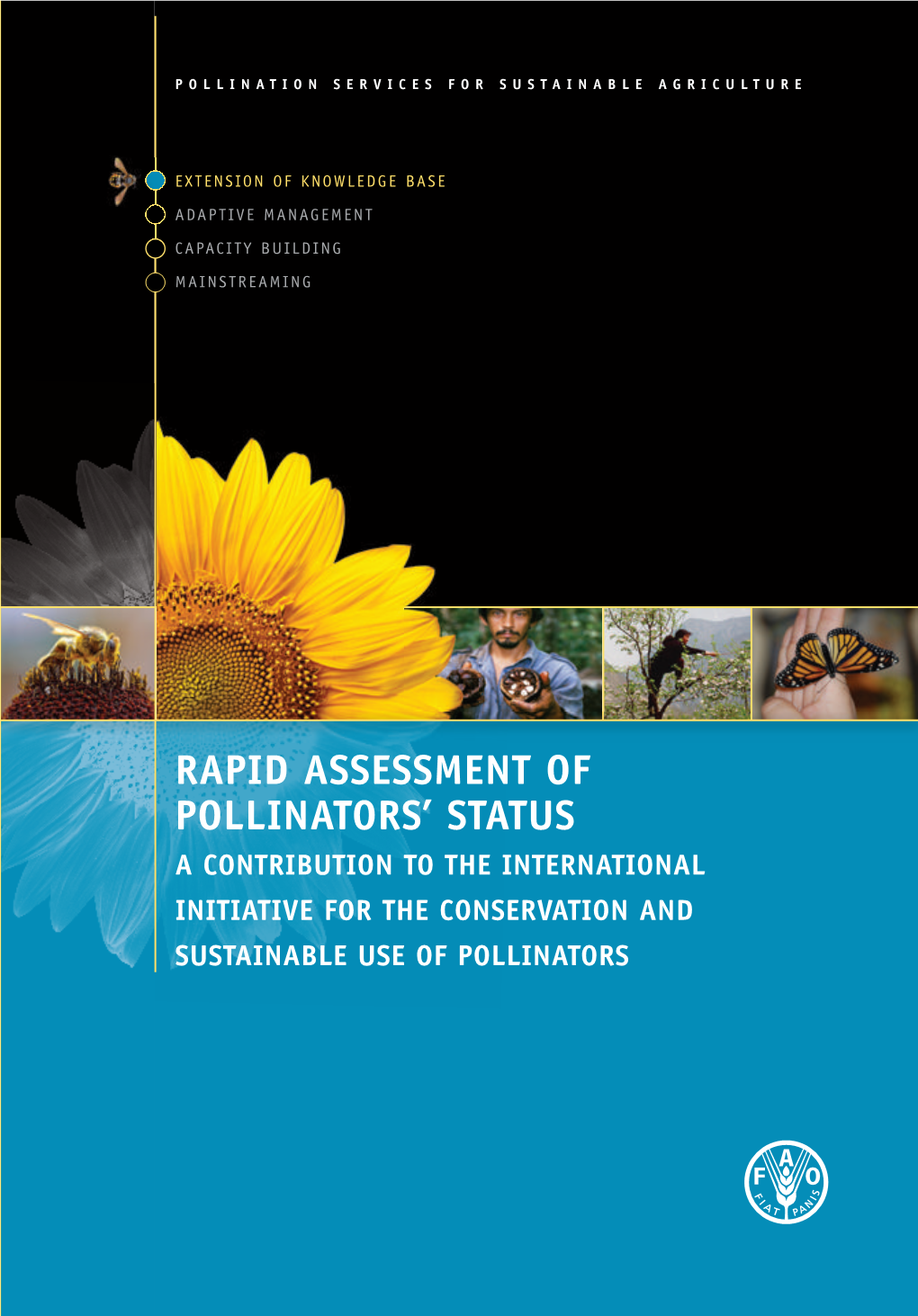 Rapid Assessment of Pollinators'status