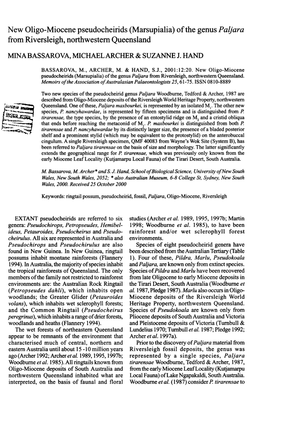 New Oligo-Miocene Pseudocheirids (Marsupialia) of the Genus Paljara