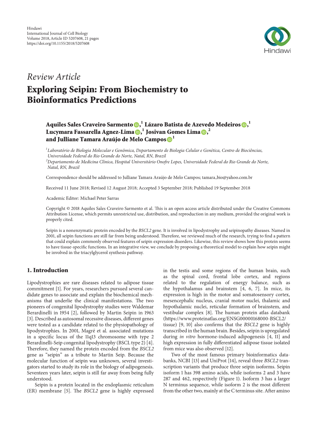 Exploring Seipin: from Biochemistry to Bioinformatics Predictions