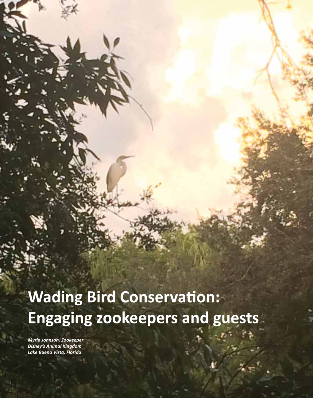 Wading Bird Conservation: Engaging Zookeepers and Guests