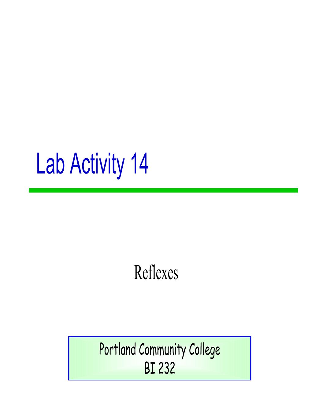 Lab Activity 14