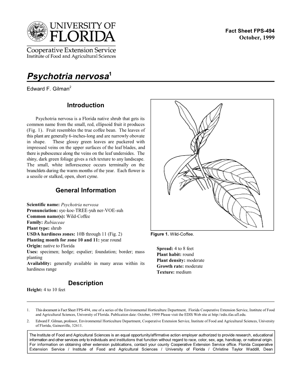 Psychotria Nervosa1