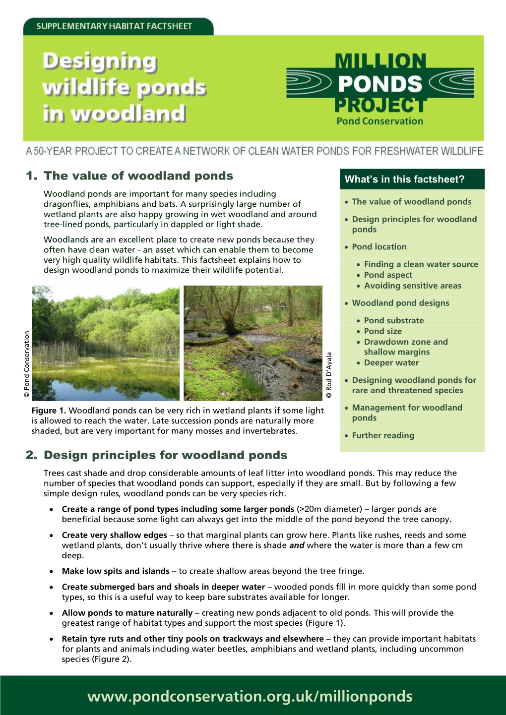 1. the Value of Woodland Ponds What’S in This Factsheet? Woodland Ponds Are Important for Many Species Including Dragonflies, Amphibians and Bats