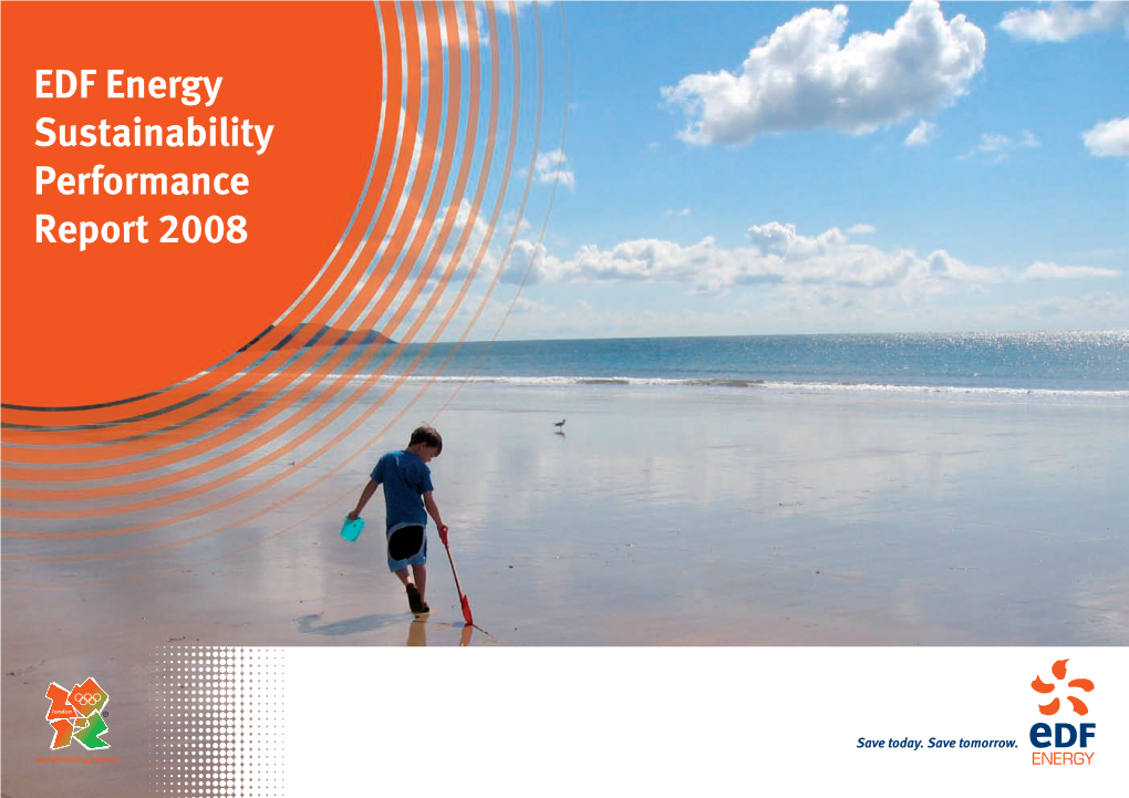 Our Sustainability Performance Report for 2008 - an Overview of Our Progress Towards Sustainability and Our Environmental, Social and Economic Performance Last Year