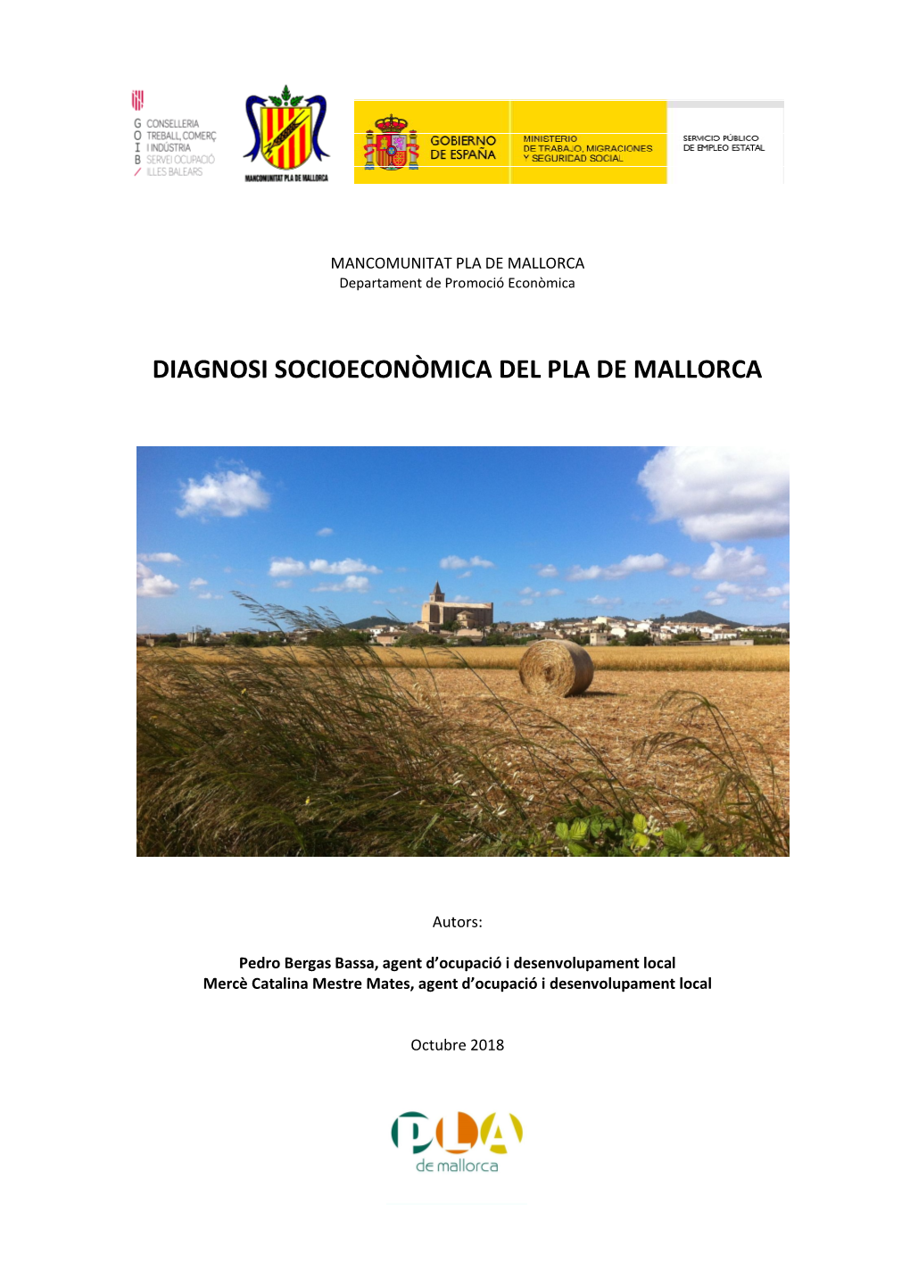 Diagnosi Socioeconòmica Del Pla De Mallorca