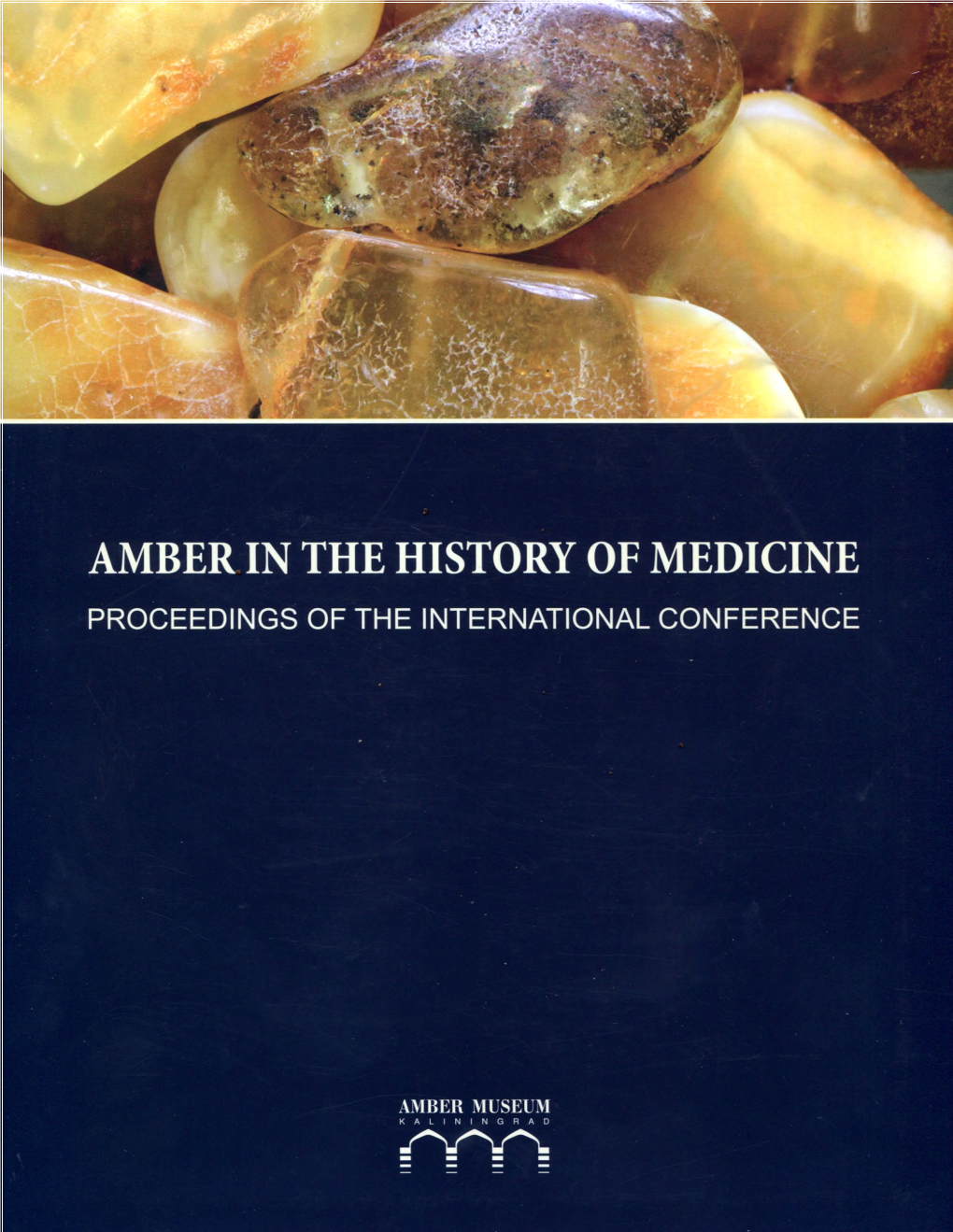 Amber in the History of Medicine Proceedings of the International Conference