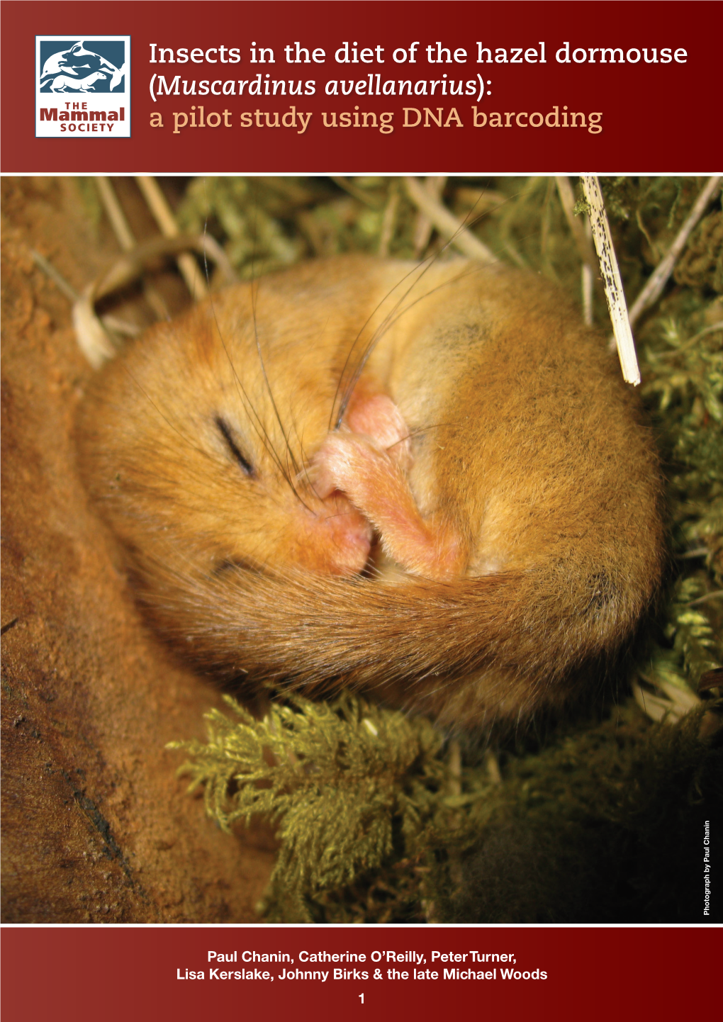 Insects in the Diet of the Hazel Dormouse (Muscardinus Avellanarius): a Pilot Study Using DNA Barcoding Photograph by Paul Chanin Photograph by Paul