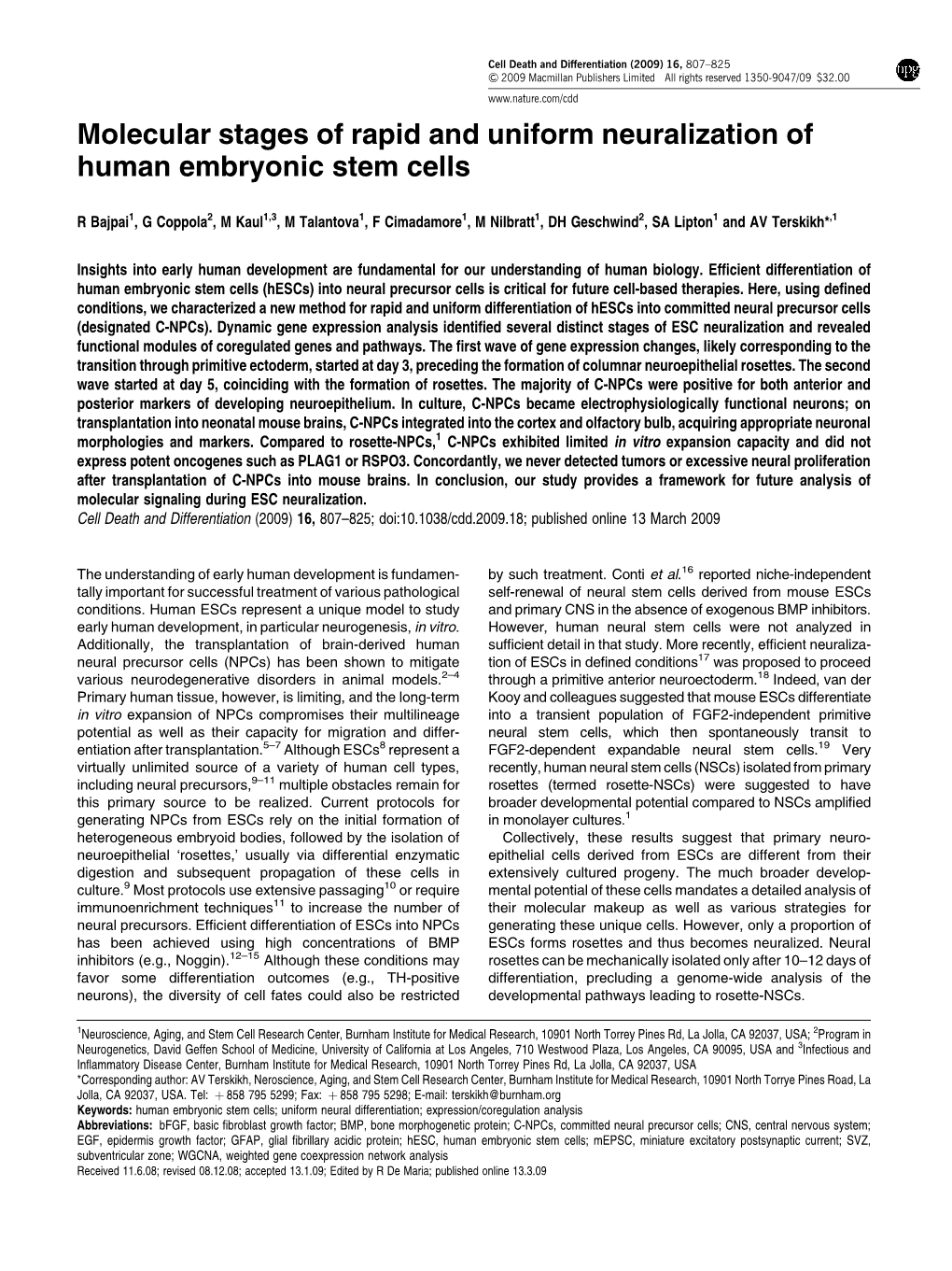 Molecular Stages of Rapid and Uniform Neuralization of Human Embryonic Stem Cells