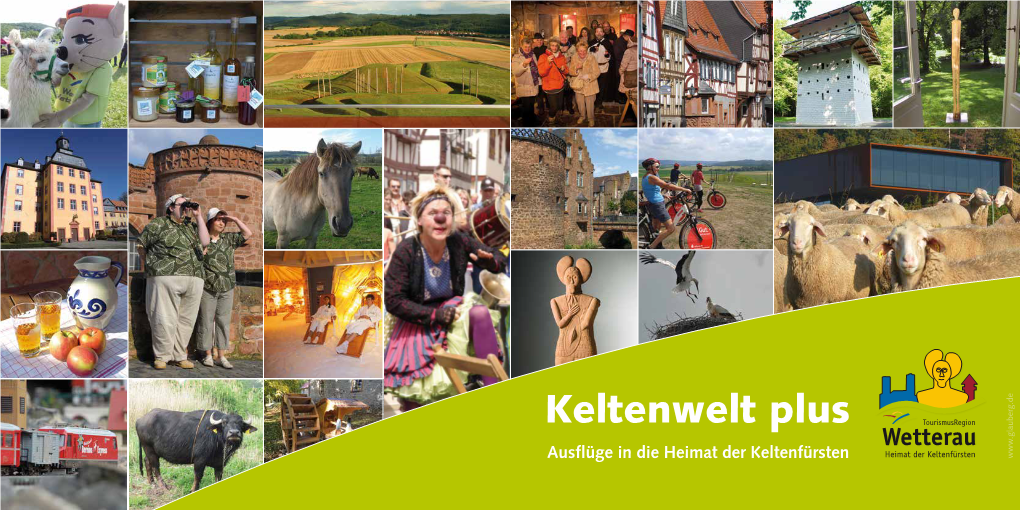 Keltenwelt Plus