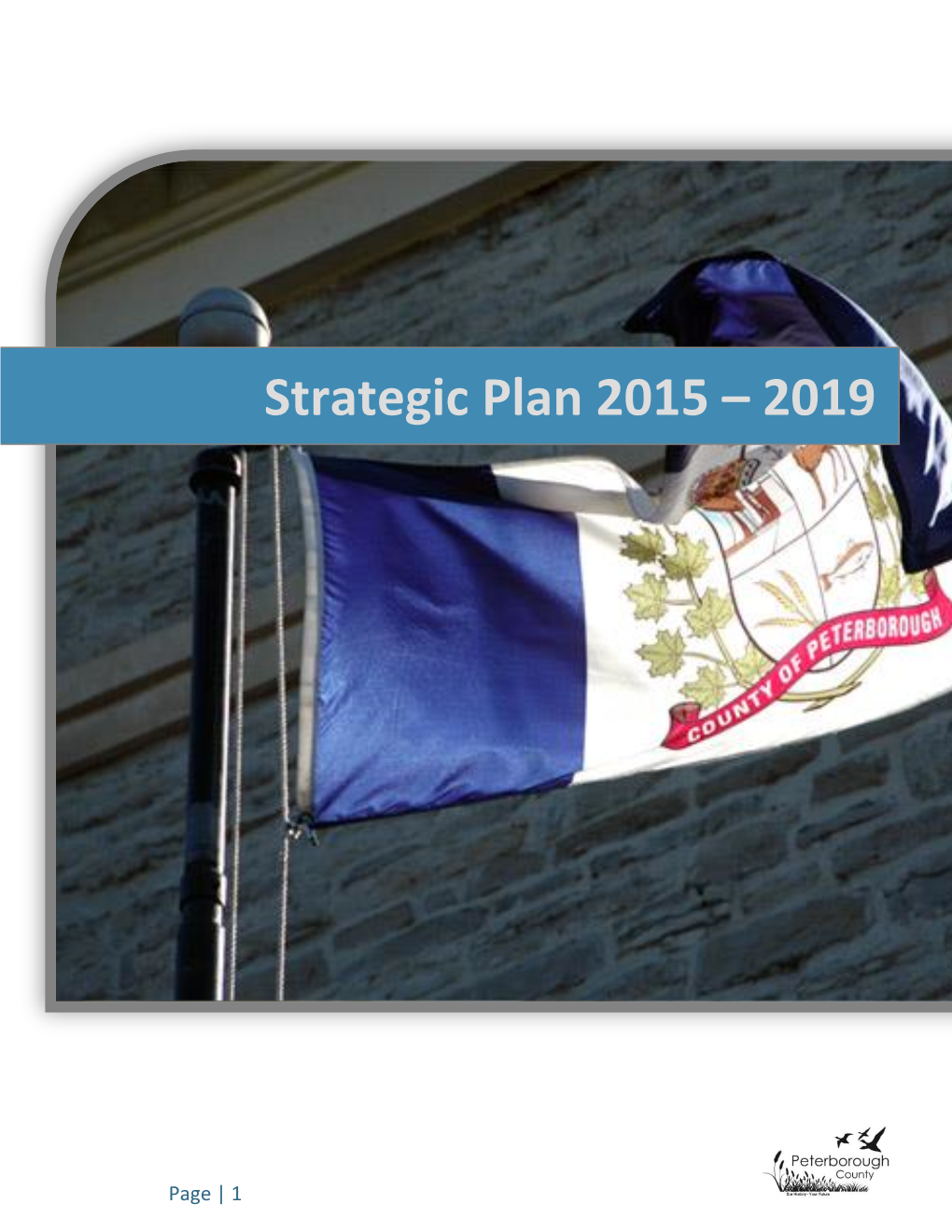 Strategic Plan 2015 – 2019