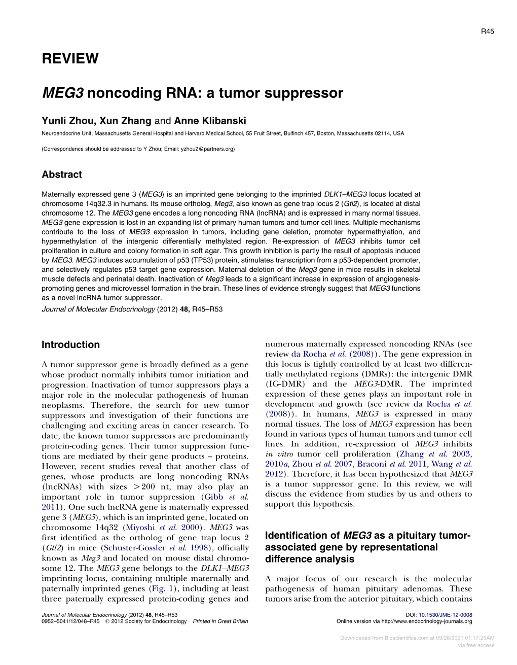 REVIEW MEG3 Noncoding RNA: a Tumor Suppressor