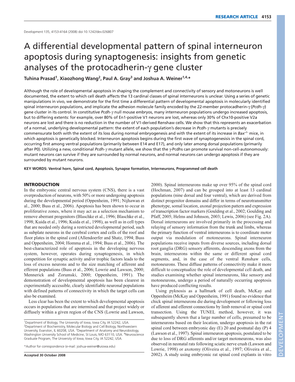 A Differential Developmental Pattern of Spinal Interneuron Apoptosis During