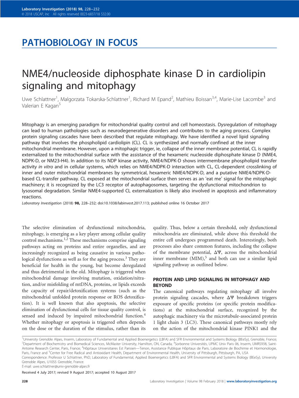 NME4/Nucleoside Diphosphate Kinase D in Cardiolipin Signaling And
