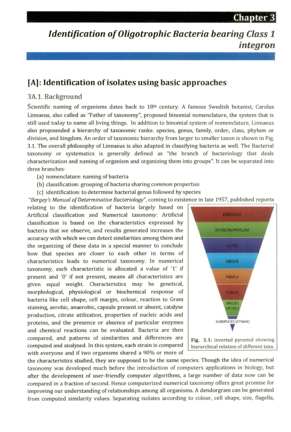 Identification of Oligotrophic Bacteria Bearing Class 1 Integron