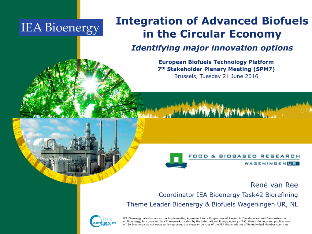 Integration of Advanced Biofuels in the Circular Economy Identifying Major Innovation Options