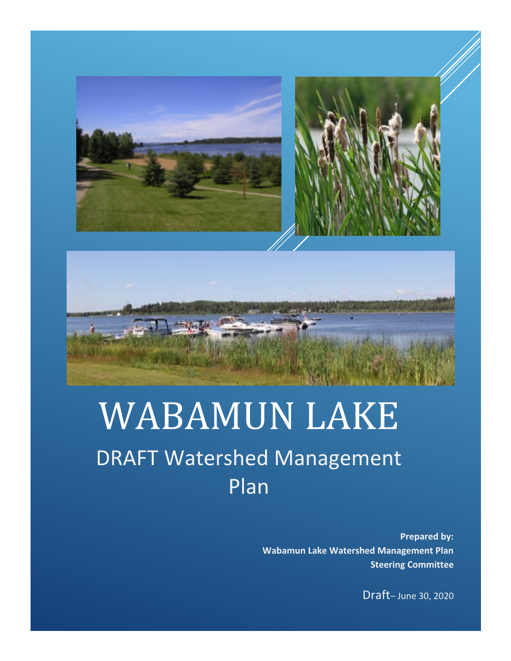 WABAMUN LAKE DRAFT Watershed Management Plan