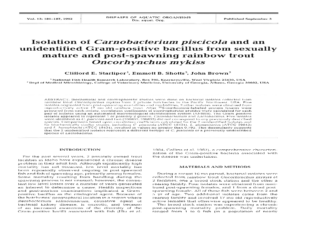 Isolation of Carnobacterium Piscicola and an on Corh Ynch Us M Ykiss