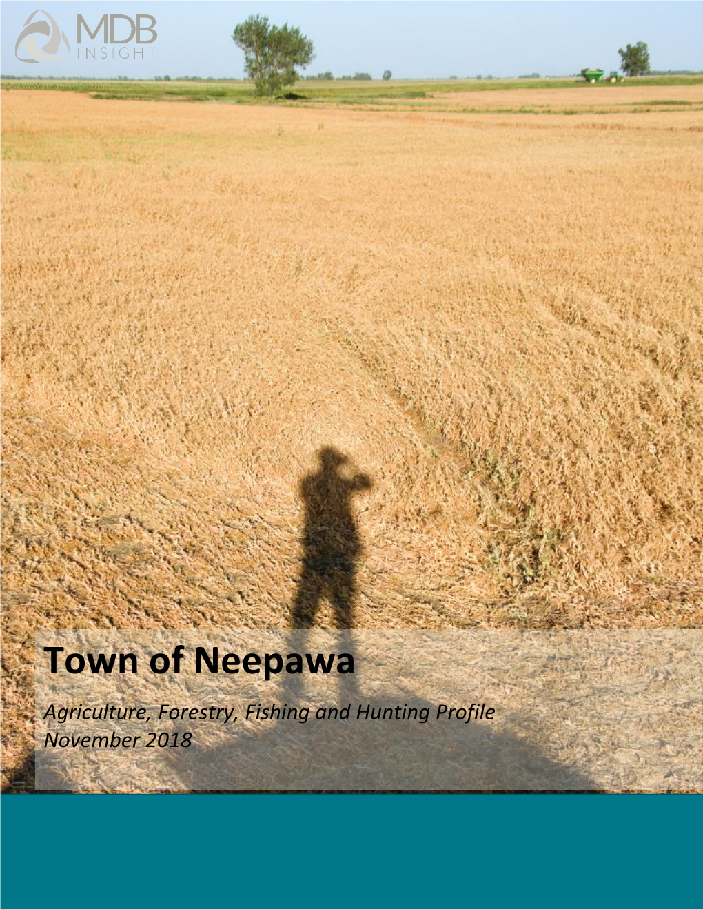 Neepawa-Sector-Profile-Agriculture-Forestry-Fishing-And-Hunting-Final.Pdf