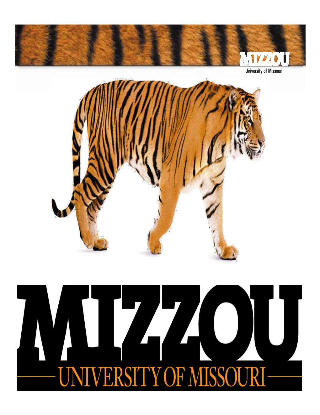 University of Missouri University of Missouri